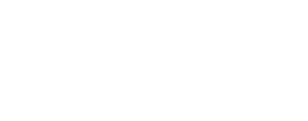 Fajn Brigady logo